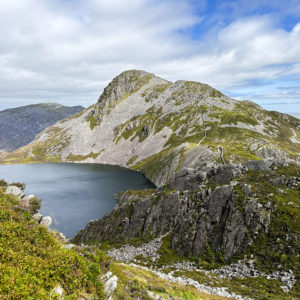 THE RHINOGS